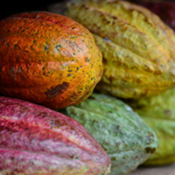 国际投资和贸易